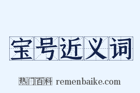 宝号近义词是什么意思的图片